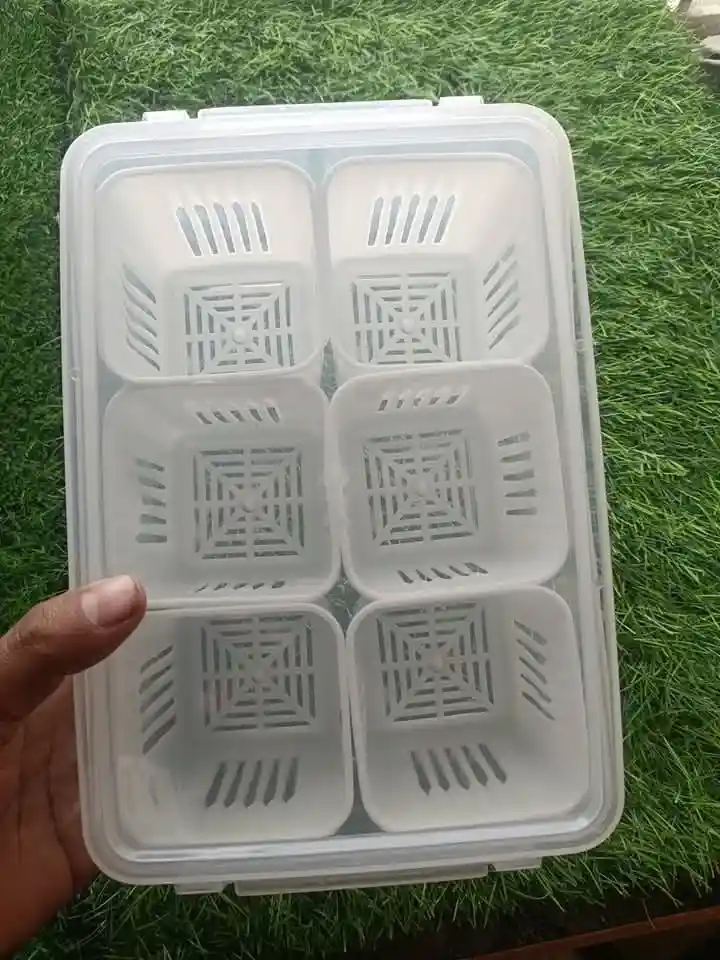 6 Grid Fridge Storage Box