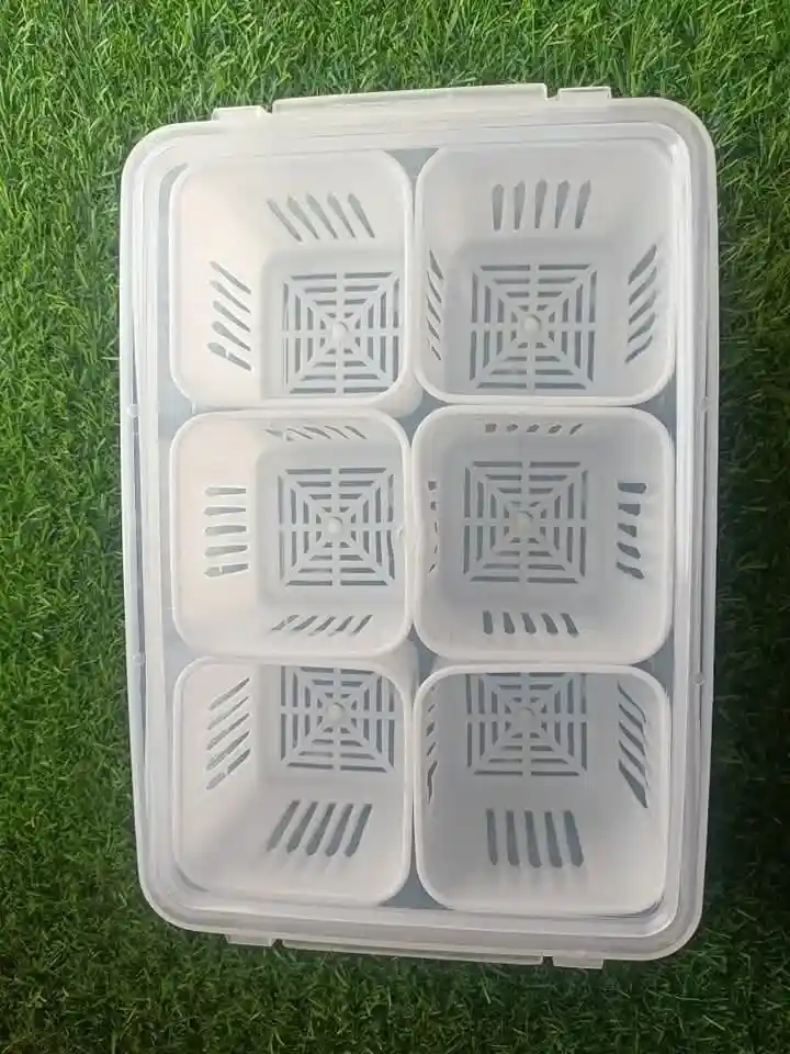 6 Grid Fridge Storage Box